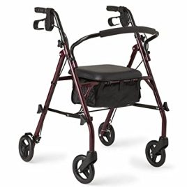 Basic Steel Rollator (GUARDIAN)